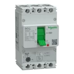 Schneider Electric G20F3A200 3X200A 36kA Ayar Sahalı TMŞ GoPact