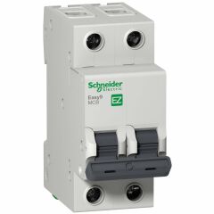 Schneider Electric EZ9F56210 2X10A 6kA C Otomatik Sigorta