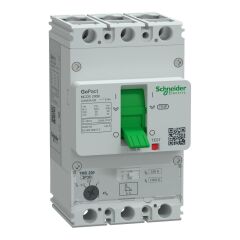 Schneider Electric G20F3A100 3x100A 36kA Ayar Sahalı TMŞ GoPact