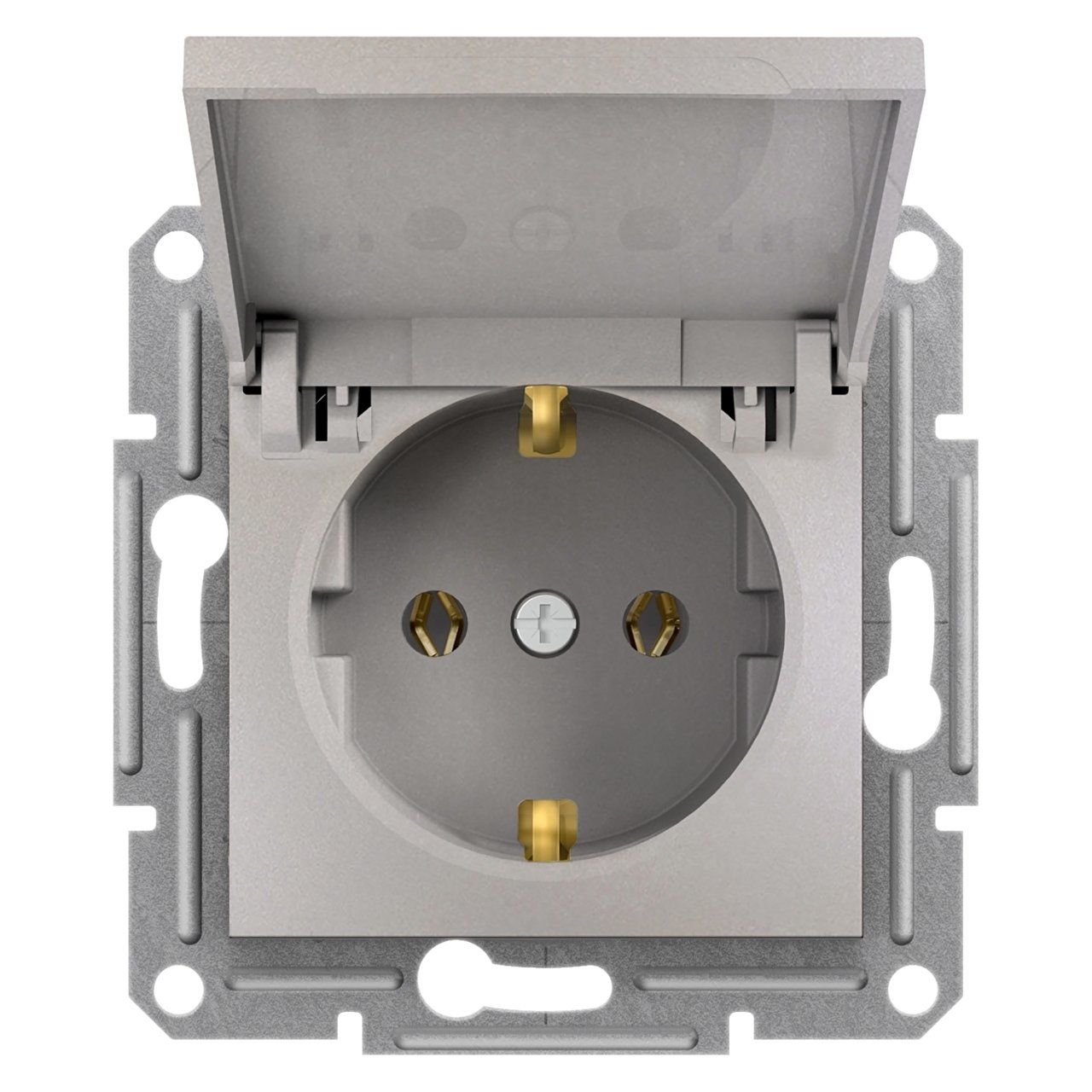 Schneider Electric EPH3100169 Asfora Bronz Kapaklı Topraklı Priz Çerçevesiz